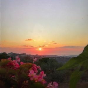 Meet your Posher, Fatima